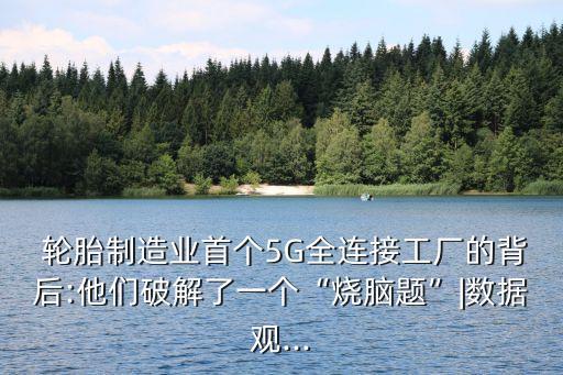 中國(guó)輪胎轉(zhuǎn)型,貴州輪胎數(shù)字化轉(zhuǎn)型
