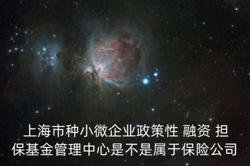  上海市種小微企業(yè)政策性 融資 擔(dān)保基金管理中心是不是屬于保險(xiǎn)公司