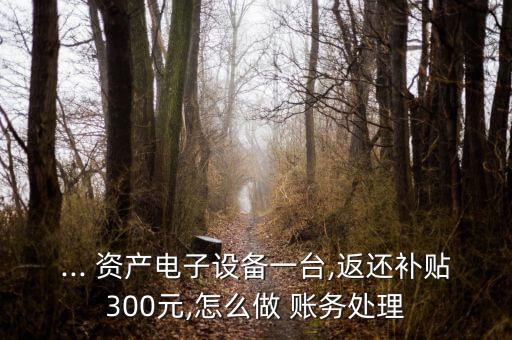 ... 資產電子設備一臺,返還補貼300元,怎么做 賬務處理