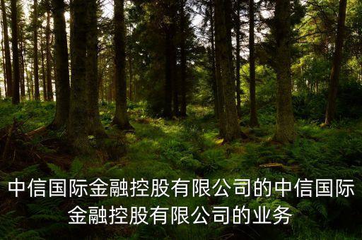 中信國(guó)際金融控股有限公司的中信國(guó)際金融控股有限公司的業(yè)務(wù)