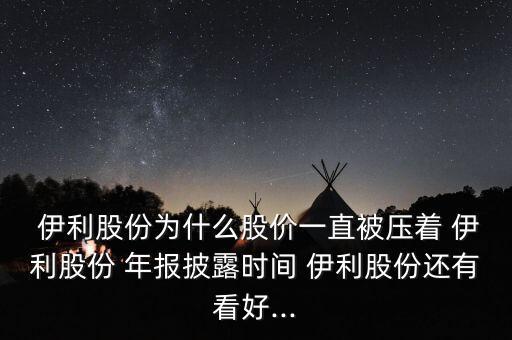 伊利集團(tuán)2014年報(bào)