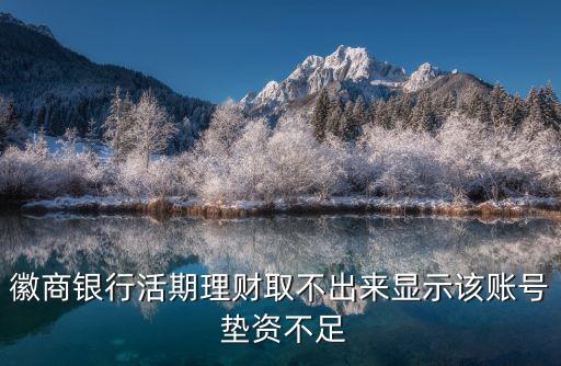 徽商銀行活期理財(cái)取不出來顯示該賬號(hào) 墊資不足
