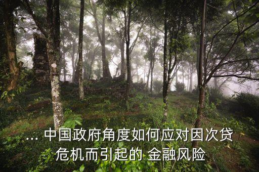 ... 中國政府角度如何應對因次貸 危機而引起的 金融風險