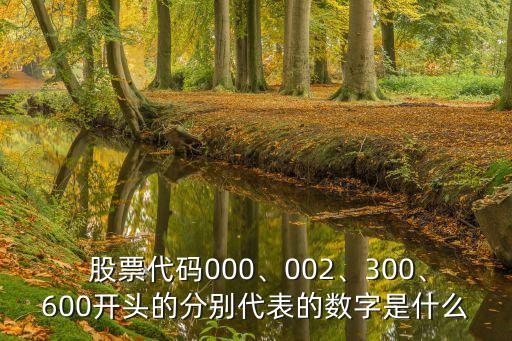  股票代碼000、002、300、600開(kāi)頭的分別代表的數(shù)字是什么