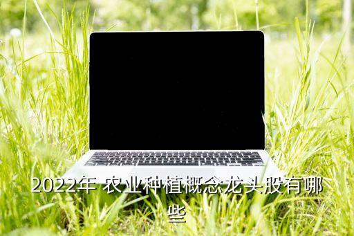 農業(yè)互聯網上市公司,數字農業(yè)上市公司龍頭股