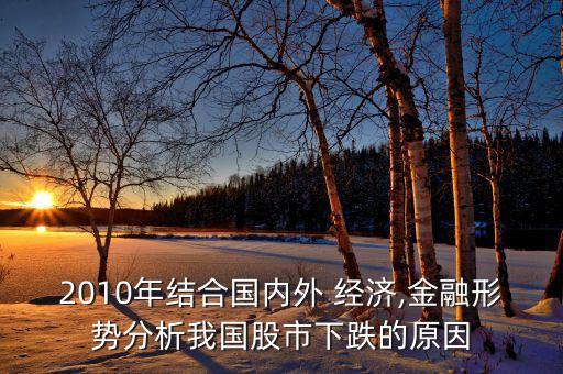 2010年結(jié)合國內(nèi)外 經(jīng)濟(jì),金融形勢分析我國股市下跌的原因