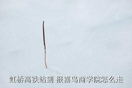 虹橋高鐵站到 報(bào)喜鳥商學(xué)院怎么走
