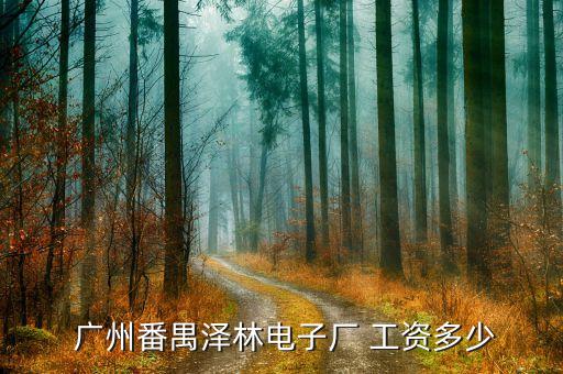  廣州番禺澤林電子廠 工資多少