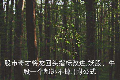 股市奇才將龍回頭指標(biāo)改進(jìn),妖股、牛股一個(gè)都逃不掉!(附公式