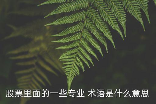 風(fēng)險(xiǎn)投資術(shù)語(yǔ)