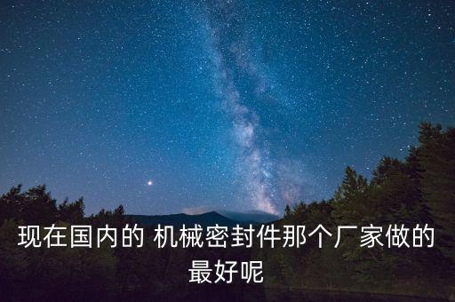 現(xiàn)在國內(nèi)的 機(jī)械密封件那個廠家做的最好呢