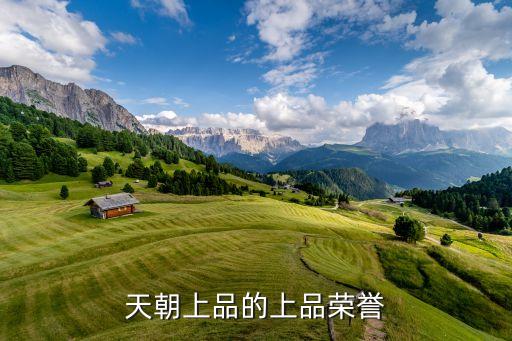 天朝上品的上品榮譽(yù)