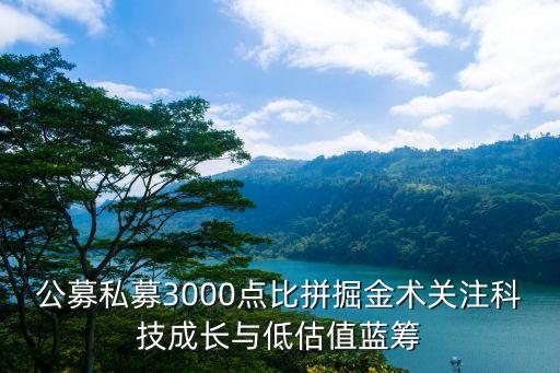 公募私募3000點(diǎn)比拼掘金術(shù)關(guān)注科技成長(zhǎng)與低估值藍(lán)籌