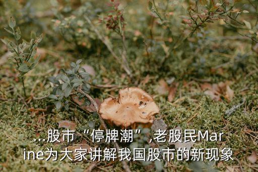 中國股票各種效應(yīng)