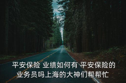 中國(guó)平安13年業(yè)績(jī)發(fā)布會(huì)