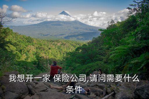 我想開一家 保險公司,請問需要什么條件