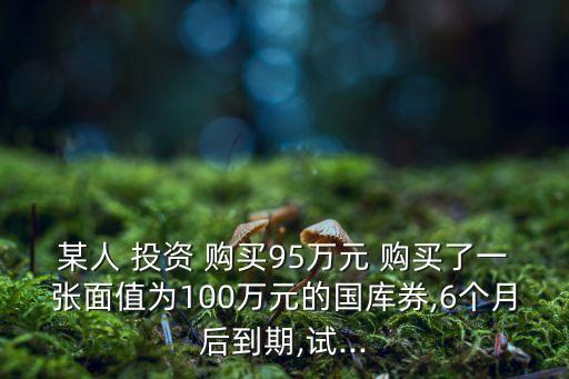 某人 投資 購(gòu)買(mǎi)95萬(wàn)元 購(gòu)買(mǎi)了一張面值為100萬(wàn)元的國(guó)庫(kù)券,6個(gè)月后到期,試...