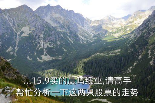 ...15.9買的晨鳴紙業(yè),請高手幫忙分析一下這兩只股票的走勢