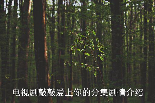 上海子望投資合伙企業(yè),上?？狄藰蛲顿Y咨詢合伙企業(yè)