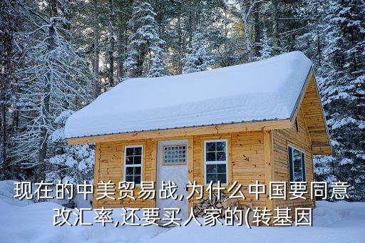 現(xiàn)在的中美貿(mào)易戰(zhàn),為什么中國(guó)要同意改匯率,還要買(mǎi)人家的(轉(zhuǎn)基因