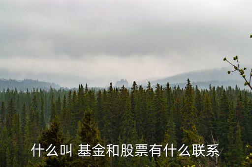 互聯(lián)網(wǎng)與證券投資基金的關系,證券投資基金當事人之間的關系
