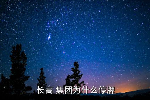  長高 集團為什么停牌