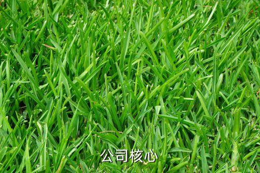保險公司核心