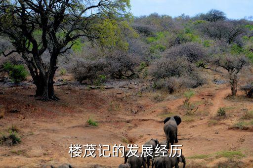 樂(lè)購(gòu)中國(guó)總經(jīng)理是誰(shuí)