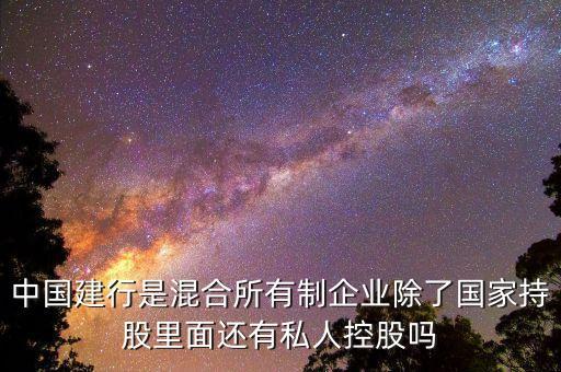 中國建行是混合所有制企業(yè)除了國家持股里面還有私人控股嗎