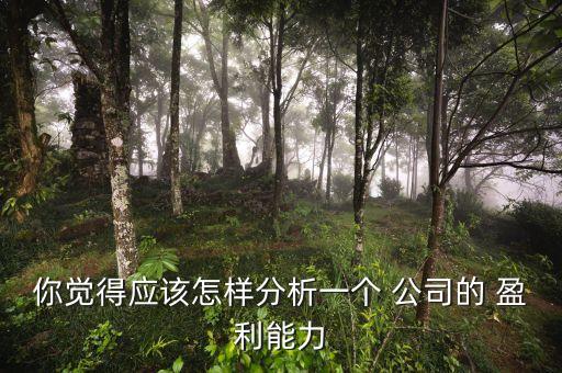 怎么看公司是否盈利,資產(chǎn)負(fù)債表怎么看盈利或虧損