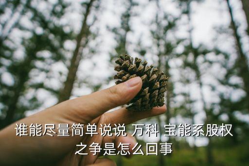 誰能盡量簡單說說 萬科 寶能系股權(quán)之爭是怎么回事