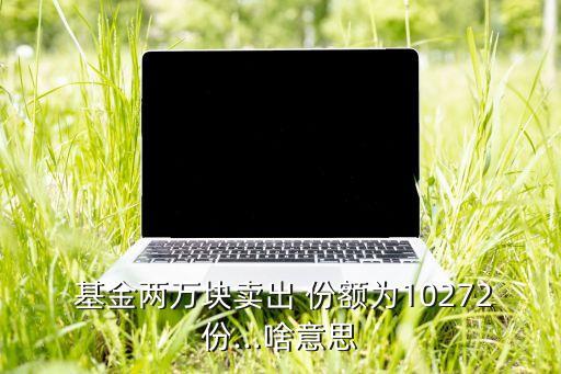  基金兩萬塊賣出 份額為10272份…啥意思