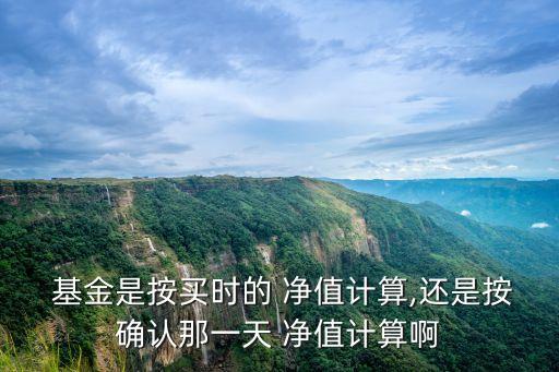  基金是按買時的 凈值計算,還是按確認那一天 凈值計算啊