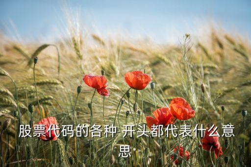  股票代碼的各種 開頭都代表什么意思