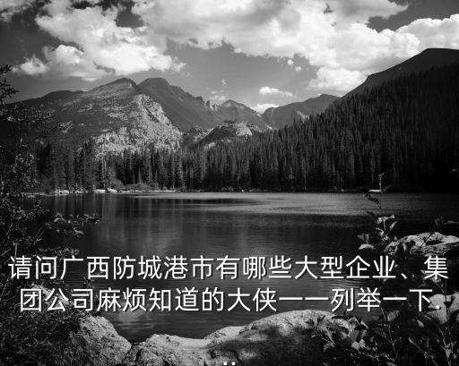 請(qǐng)問廣西防城港市有哪些大型企業(yè)、集團(tuán)公司麻煩知道的大俠一一列舉一下...
