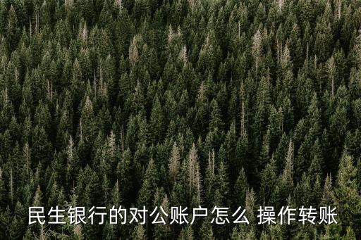  民生銀行的對(duì)公賬戶(hù)怎么 操作轉(zhuǎn)賬