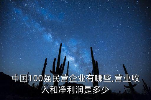 中國私企500強第一位