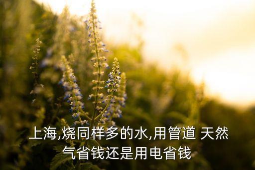  上海,燒同樣多的水,用管道 天然氣省錢還是用電省錢