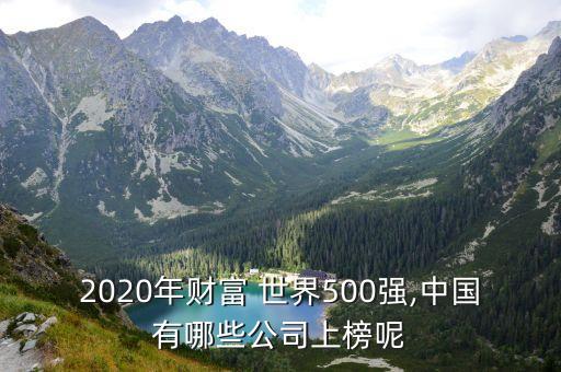 2020年財富 世界500強(qiáng),中國有哪些公司上榜呢