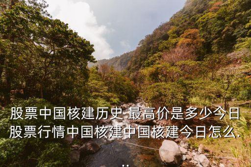 中國核電最高價(jià)是多少,中國有多少核電站