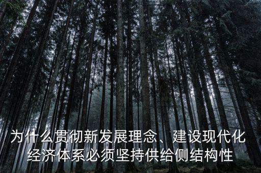 為什么貫徹新發(fā)展理念、建設(shè)現(xiàn)代化 經(jīng)濟(jì)體系必須堅持供給側(cè)結(jié)構(gòu)性