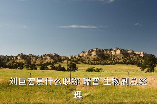 劉巨宏是什么職稱(chēng) 瑞普 生物副總經(jīng)理