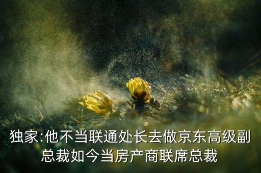 獨(dú)家:他不當(dāng)聯(lián)通處長(zhǎng)去做京東高級(jí)副總裁如今當(dāng)房產(chǎn)商聯(lián)席總裁