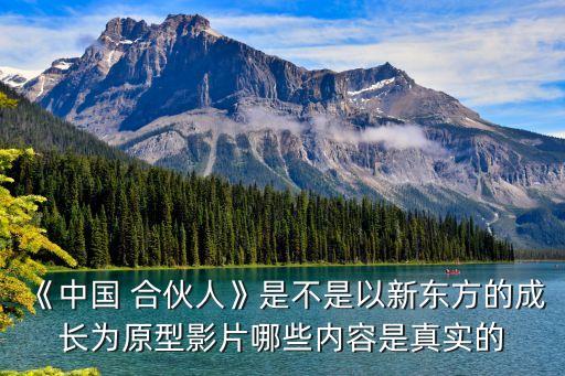 俞敏洪中國(guó)合伙人