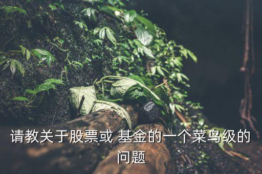 請(qǐng)教關(guān)于股票或 基金的一個(gè)菜鳥(niǎo)級(jí)的問(wèn)題