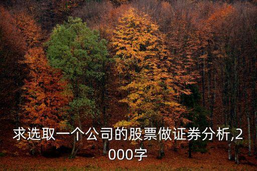 求選取一個(gè)公司的股票做證券分析,2000字