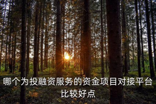 哪個為投融資服務(wù)的資金項目對接平臺比較好點