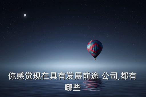 你感覺現(xiàn)在具有發(fā)展前途 公司,都有哪些