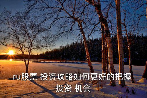 投資機會分析