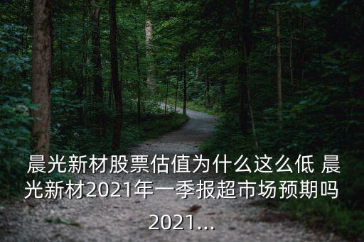 晨光文具集團(tuán)招股說明書